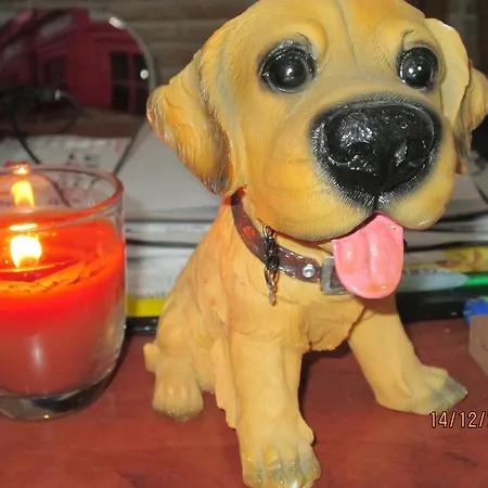 Capitao Mor بيت ضيافة فارو