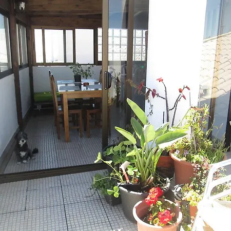 Capitao Mor Фару